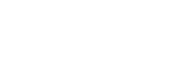 Wise Up